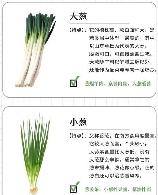 大葱的食用方法与营养价值