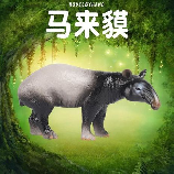 探索神秘生物：貘的读音