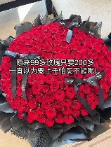 99朵玫瑰花的浪漫与价值