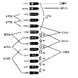 头衔的意义：社会地位与职业标识