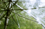 立夏下雨(立夏下雨，愿所有人都有一把伞)